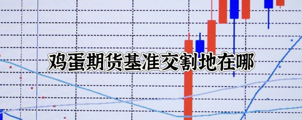 鸡蛋期货基准交割地在哪